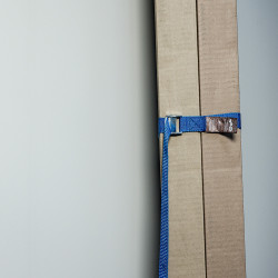 Sangle d'arrimage 5m x 25mm CONNEX – Sécurisez vos charges Sangle d'arrimage 5m x 25mm CONNEX – Sécurisez vos charges