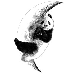 Sticker Panda endormi 48 x 68 cm