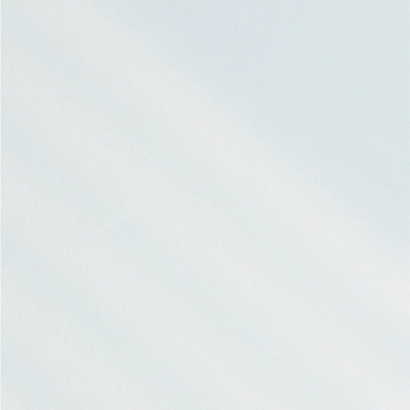 Feuille adhésive blanc transparent 45 x 200 cm JOY