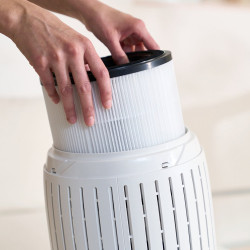 Filtre Purificateur Air 6000 BOSCH – Air Purifié | BOSCH