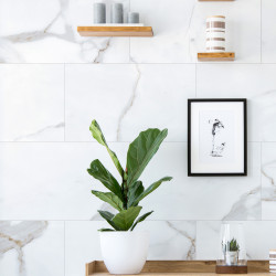 Dalle en PVC Spring 75 x 45 cm 7 pièces INSPIRO