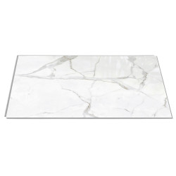 Dalle en PVC Gloss Eclipse 75 x 45 cm 7 pièces INSPIRO