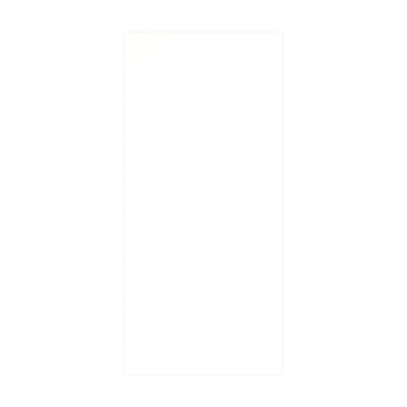 Dalle en PVC Blanc 260 x 120 cm DUMAWALL XL