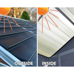 Abri de jardin en résine Skylight gris foncé 1