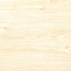 Fondur 0,5 L – Préparation Bois Optimale | LIBERON