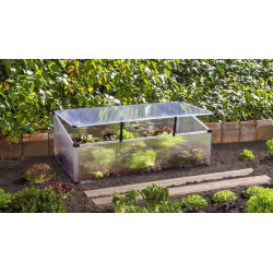 Mini-serre Feronia 104 x 56 x 36 cm VITAVIA