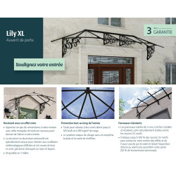 Marquise de porte Lily noire 422 x 88 cm CANOPIA