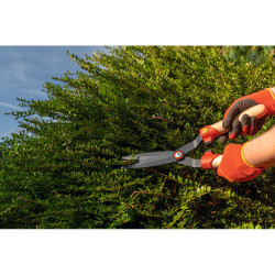 Cisaille à buis précision | WOLF-GARTEN