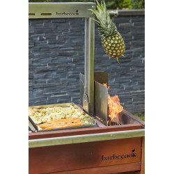 Plancha pour barbecue Pedro BARBECOOK