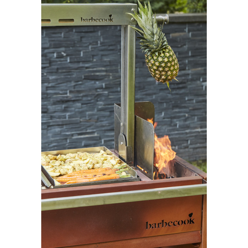 Plancha pour barbecue Pedro BARBECOOK