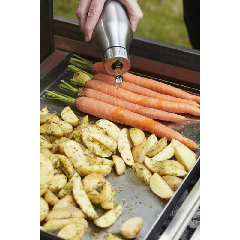 Plancha pour barbecue Pedro BARBECOOK