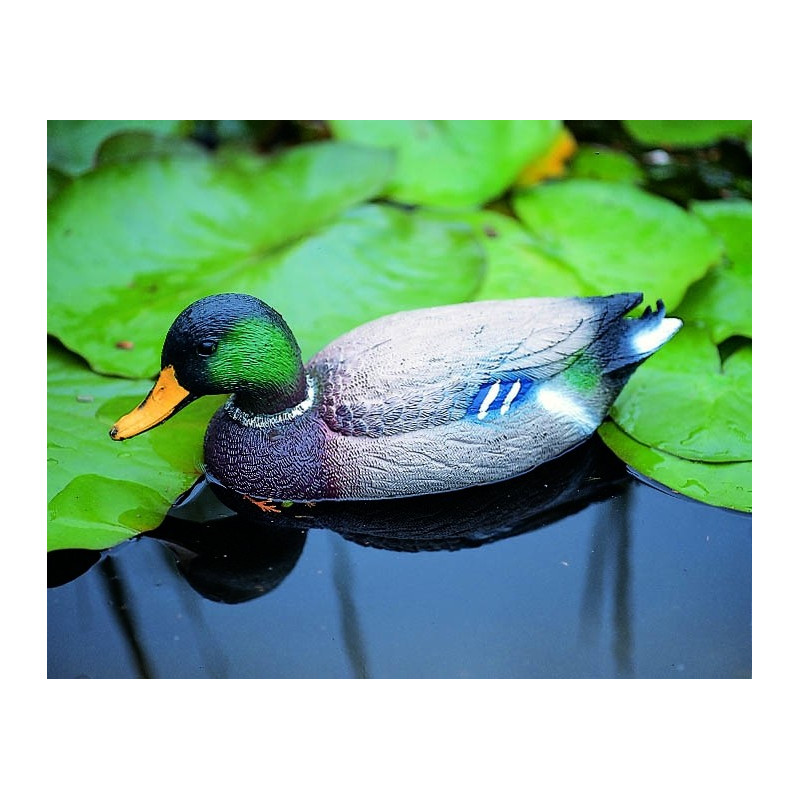 Colvert flottant pour bassin – Déco Naturelle | UBBINK