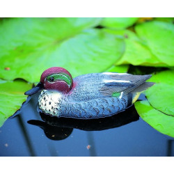 Sarcelle flottant pour bassin – Décorez votre jardin aquatique | UBBINK