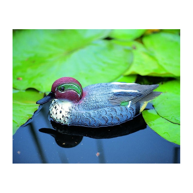 Sarcelle flottant pour bassin – Décorez votre jardin aquatique | UBBINK