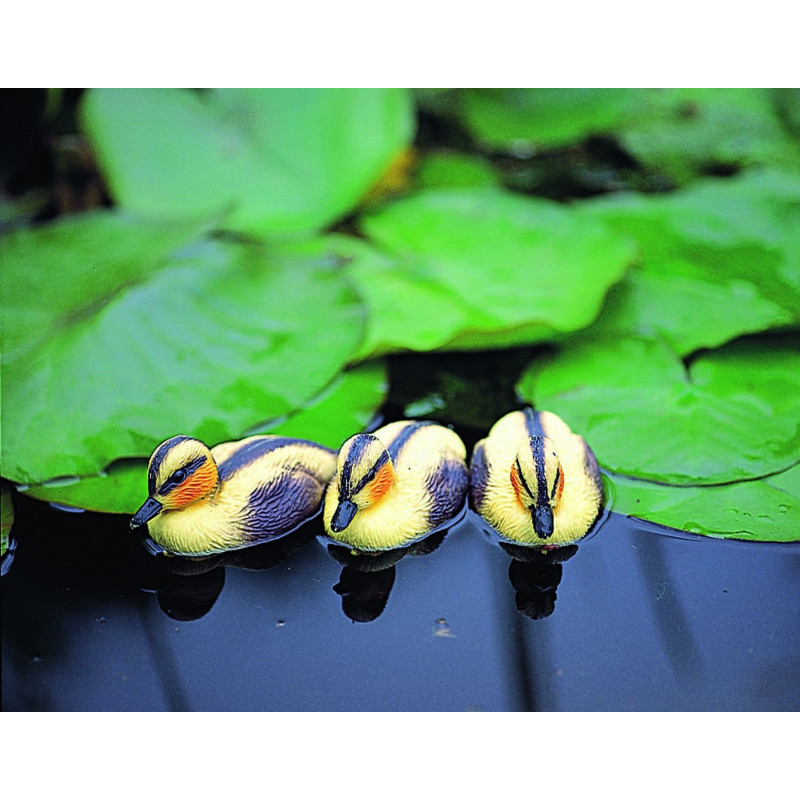 Caneton jaune flottant pour bassin – Déco ludique | UBBINK