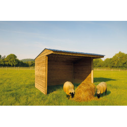 Abri pour cheval 3 x 2