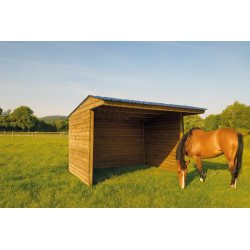 Abri pour cheval 4 x 2
