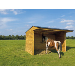 Abri pour cheval 5 x 2
