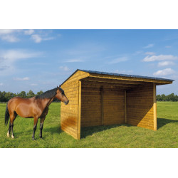 Abri pour cheval 6 x 2
