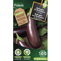 Semences d'aubergine de Barbentane PROTECTA