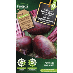 Semences de betterave Noire d'Egypte PROTECTA