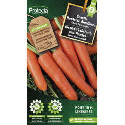 Semences de carotte Nantaise Améliorée PROTECTA