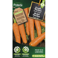 Semences de carotte Touchon PROTECTA