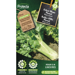 Semences de céleri Blanc Pascal PROTECTA