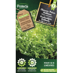 Semences de chicorée Frisée Wallonne PROTECTA