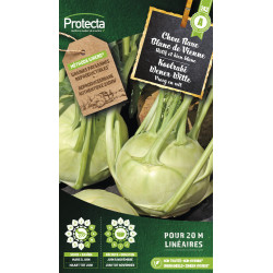 Semences de chou Rave Blanc de Vienne PROTECTA