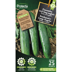 Semences de concombre Marketer Bio PROTECTA