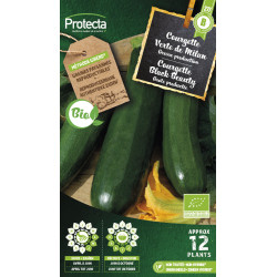 Semences de courgette Black Beauty Bio PROTECTA