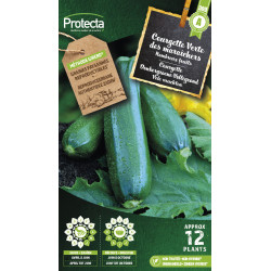 Semences de courgette Verte des maraîchers PROTECTA