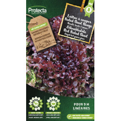 Semences de laitue à couper Salad Bowl Rouge PROTECTA