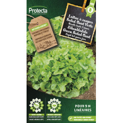 Semences de laitue à couper Salad Bowl Verte PROTECTA