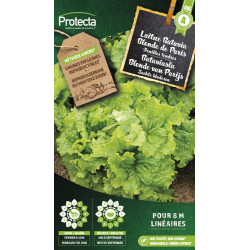 Semences de laitue Batavia Blonde de Paris PROTECTA