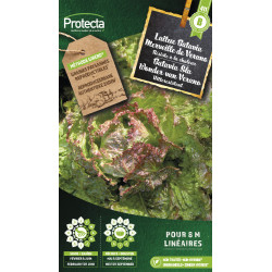 Semences de laitue Batavia Merveille de Verano PROTECTA