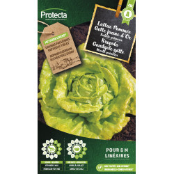 Semences de laitue Pommée Gotte jaune d'Or PROTECTA