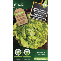 Semences de laitue Pommée Blonde Paresseuse PROTECTA