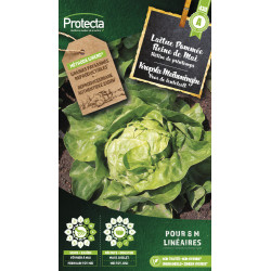 Semences de laitue Pommée Reine de Mai PROTECTA