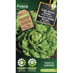 Semences de laitue Grasse Sucrine PROTECTA