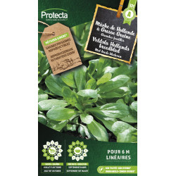 Semences de mâche de Hollande à Grosse Graine PROTECTA