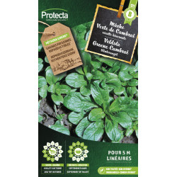 Semences de mâche Verte de Cambrai PROTECTA