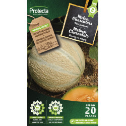 Semences de melon Charentais PROTECTA