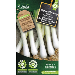 Semences d'oignon Tige Long Blanc PROTECTA