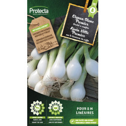 Semences d'oignon Blanc Premier PROTECTA