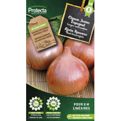 Semences d'oignon Jaune Espagnol PROTECTA