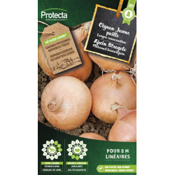 Semences d'oignon Jaune paille PROTECTA