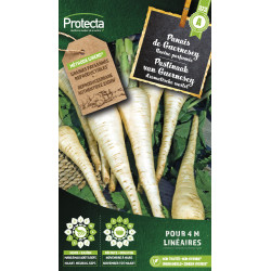 Semences de panais de Guernesey PROTECTA
