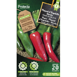 Semences de piment d'Espelette Gorria PROTECTA